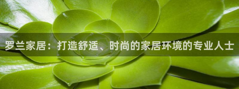 ug环球正网包杀