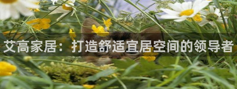 ug环球正网买分