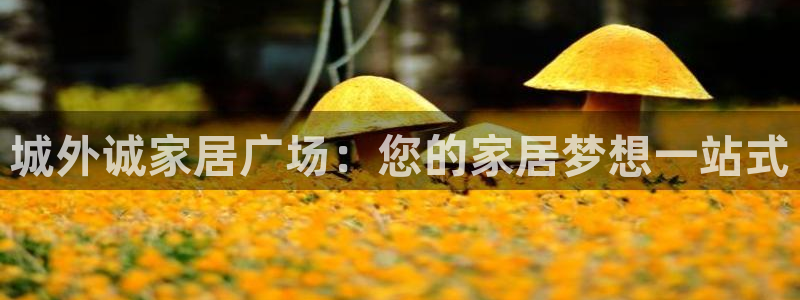 ug环球会员开户