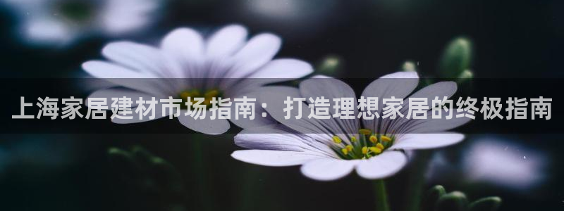 环球国际ug