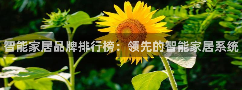 UG环球官网