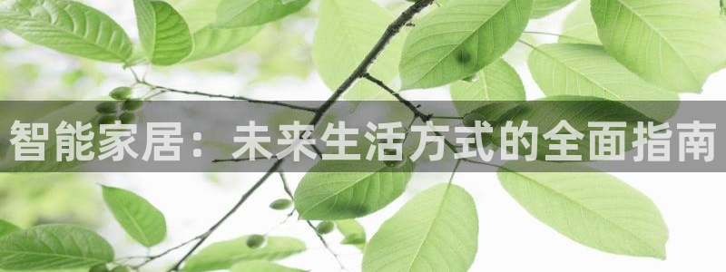 ug环球官网会员登录
