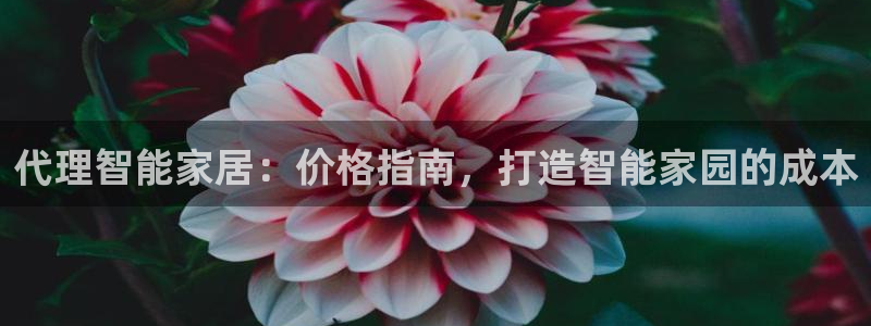 ug环球地址在哪里