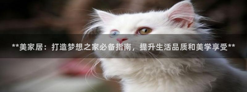 ug环球国际买分