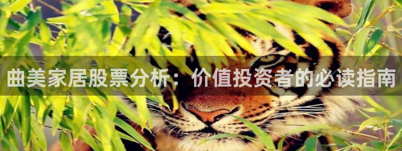 ug环球会员登录