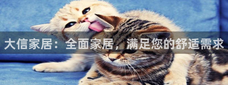 UG环球代理合作