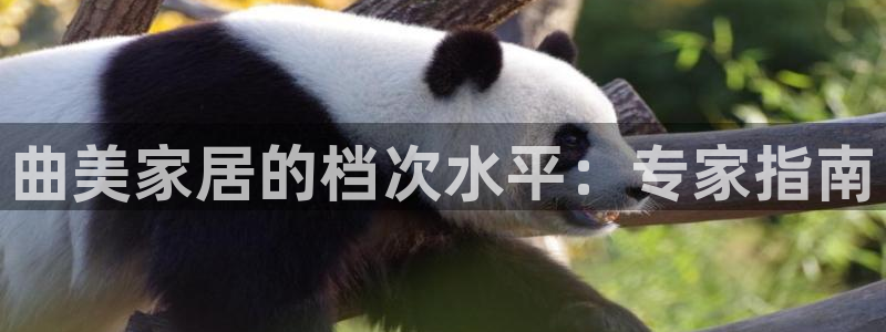 ug环球官网登录入口