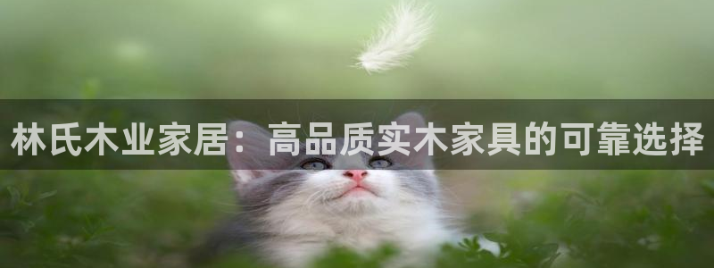 UG环球官方网