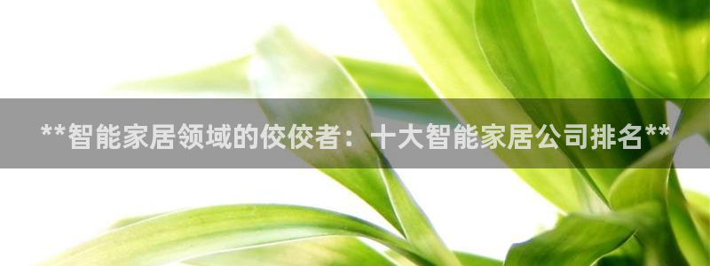 UG环球代理合作