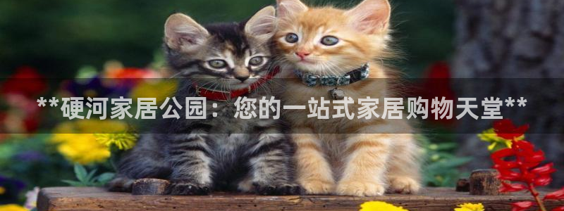 ug环球正网买分