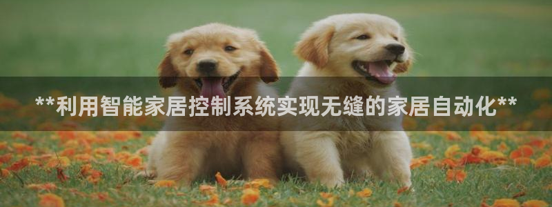 UG环球视讯