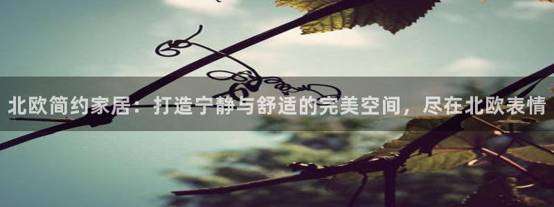 UG环球代理合作