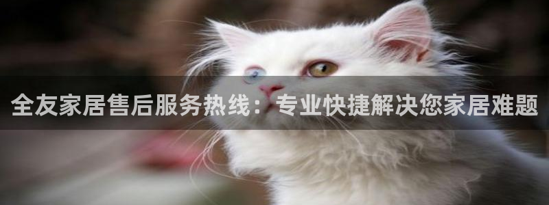 ug环球官网24小时