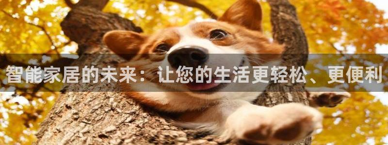 ug环球假网一比一