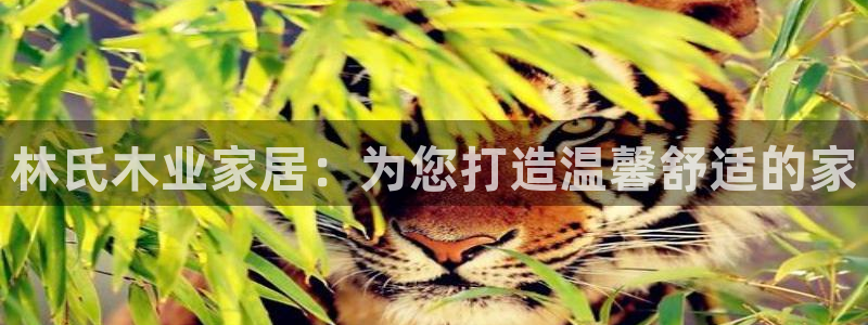 ug环球去唯xkk908
