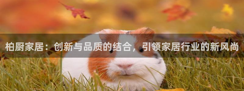 ug环球代理开户