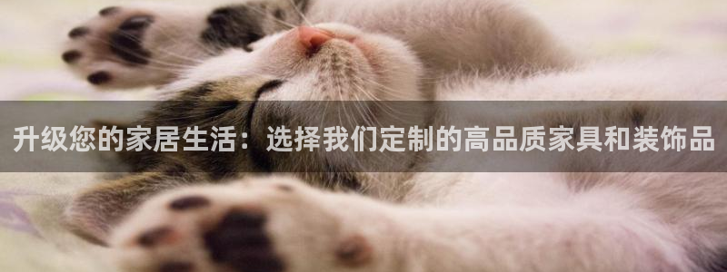 ug环球会员手机版下载