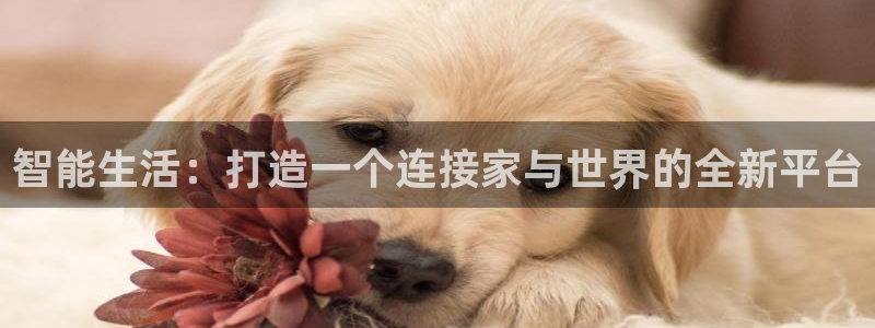 ug环球代理