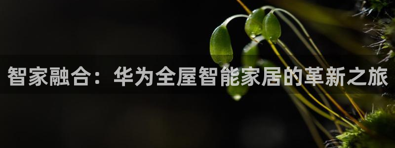 环球ug官网注册