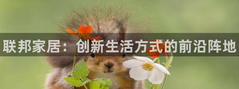 ug环球视讯官网网址