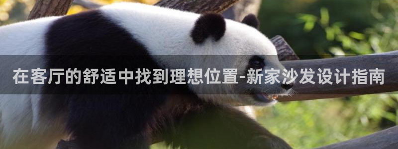 ug环球代理加盟