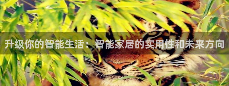 UG环球视讯