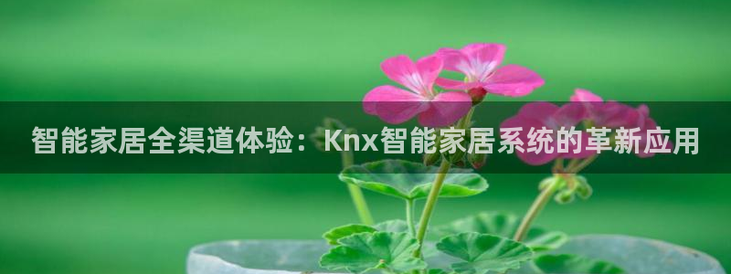 ug环球国际