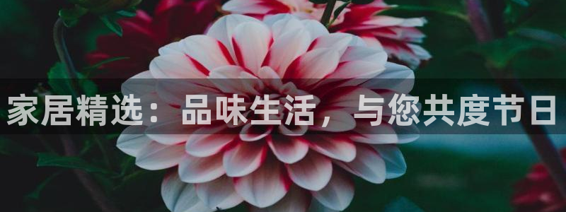 ug环球会员手机版下载