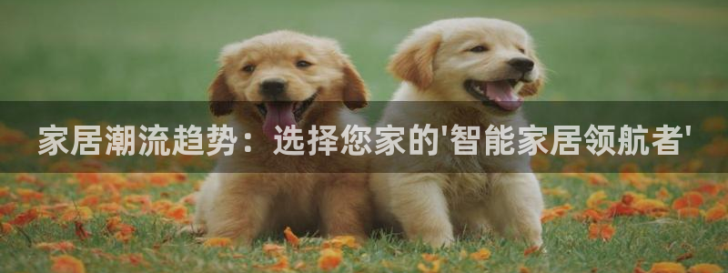 ug环球会员开户