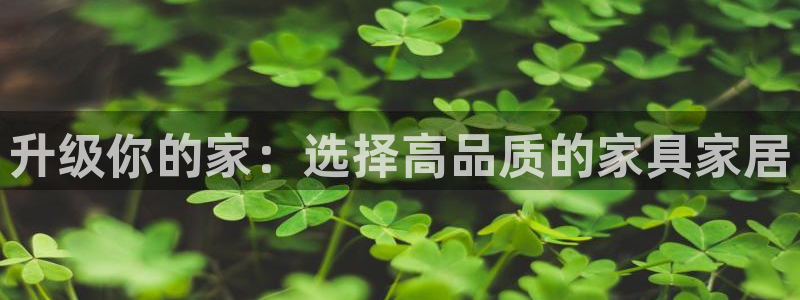 UG环球国际在线