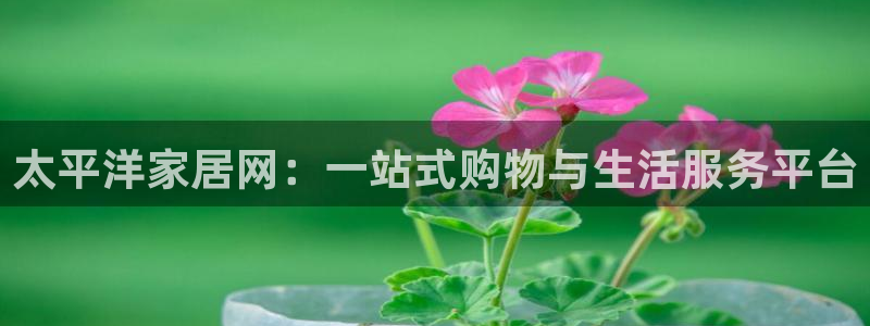 ug环球去唯xkk908