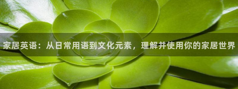 UG环球视讯官网