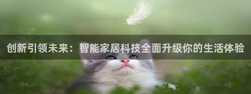 ug环球代理加盟
