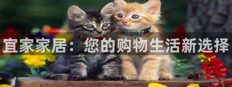 UG环球视讯下载