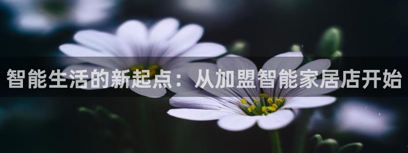 UG环球假网合作