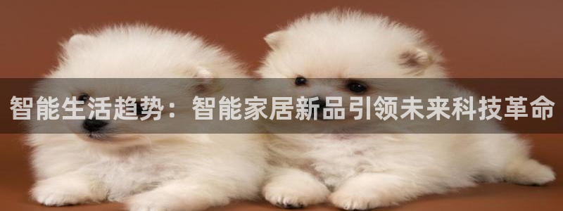 ug环球官网会员