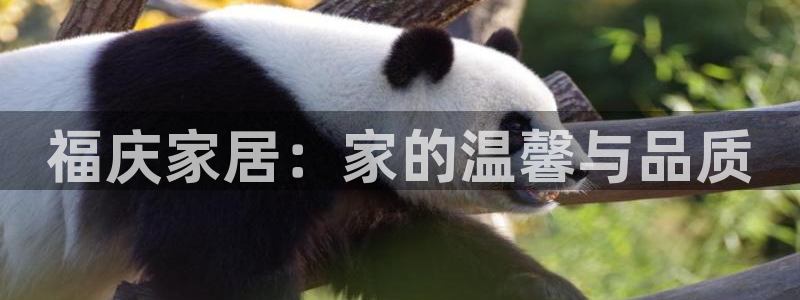 ug环球会员注册开户