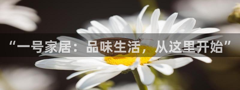 ug环球官网代理