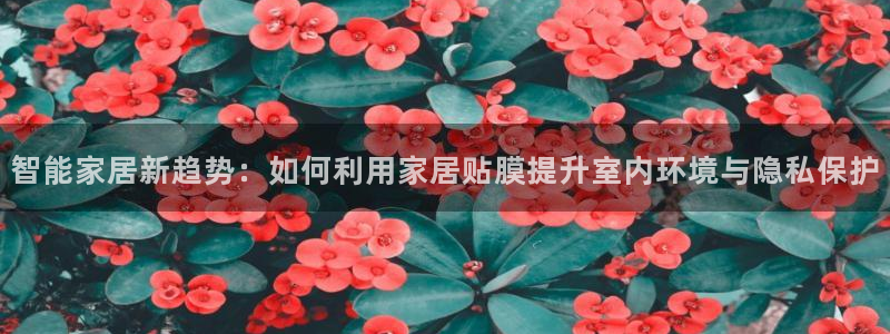 ug环球正网买分