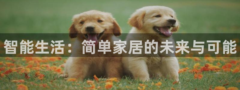 ug环球假网一比一人才