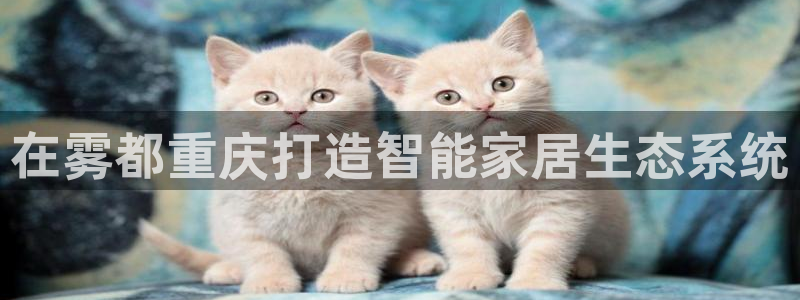 ug环球正网开户